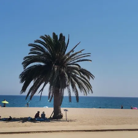 Apartamento Centrico En Calella Exterior photo